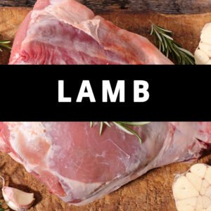 Lamb